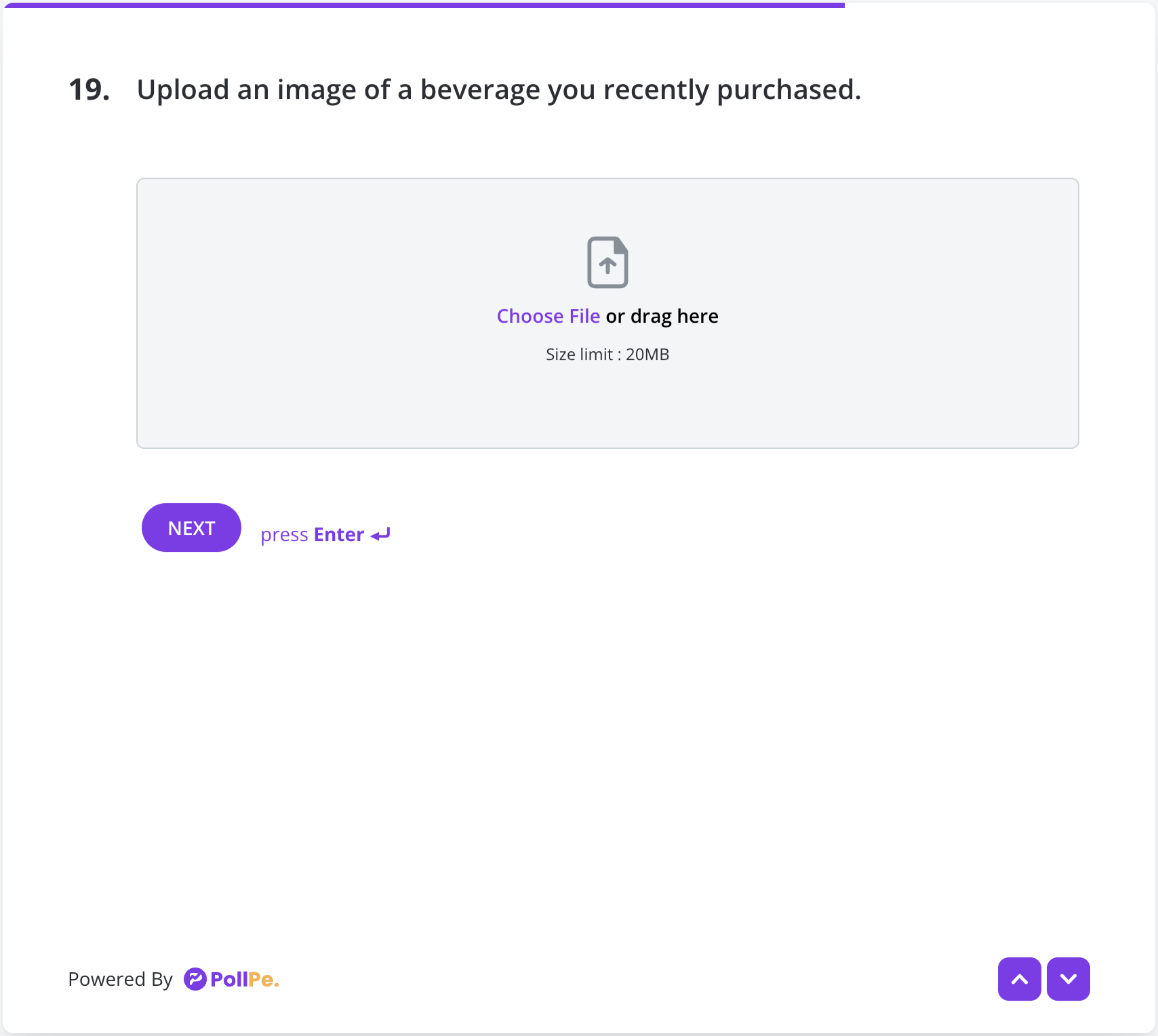 User Preview – File Upload Field