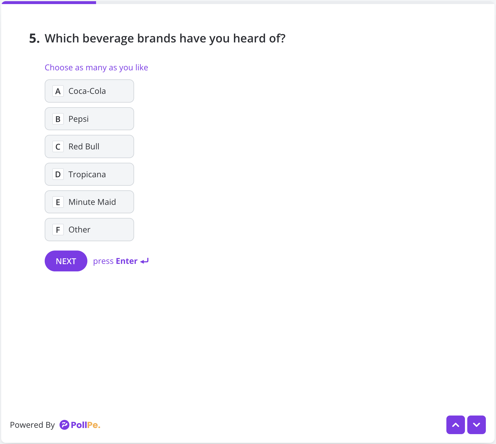 User Preview – Multiple Choice Field