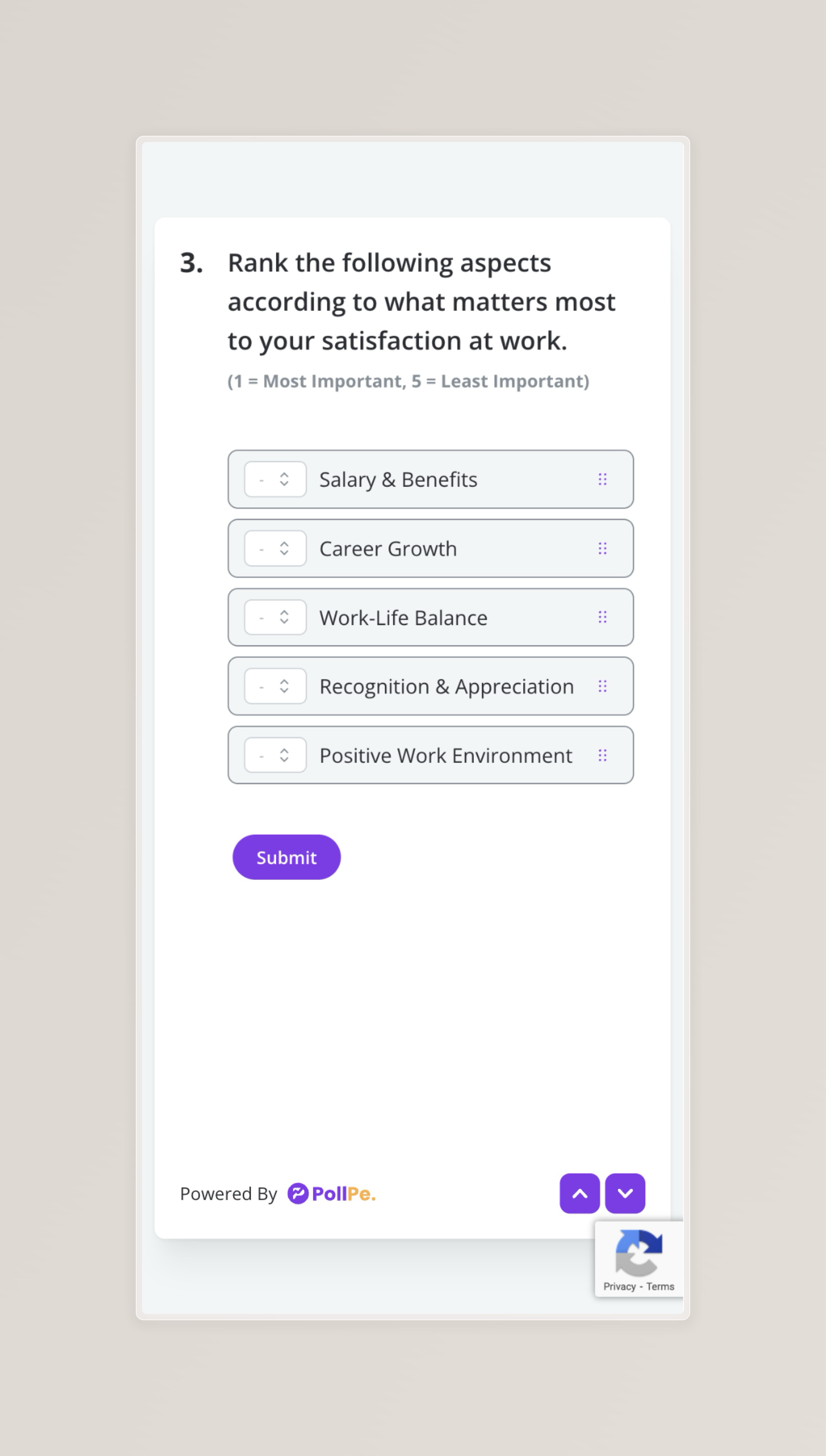 User Preview – Ranking Question Field (Mobile)