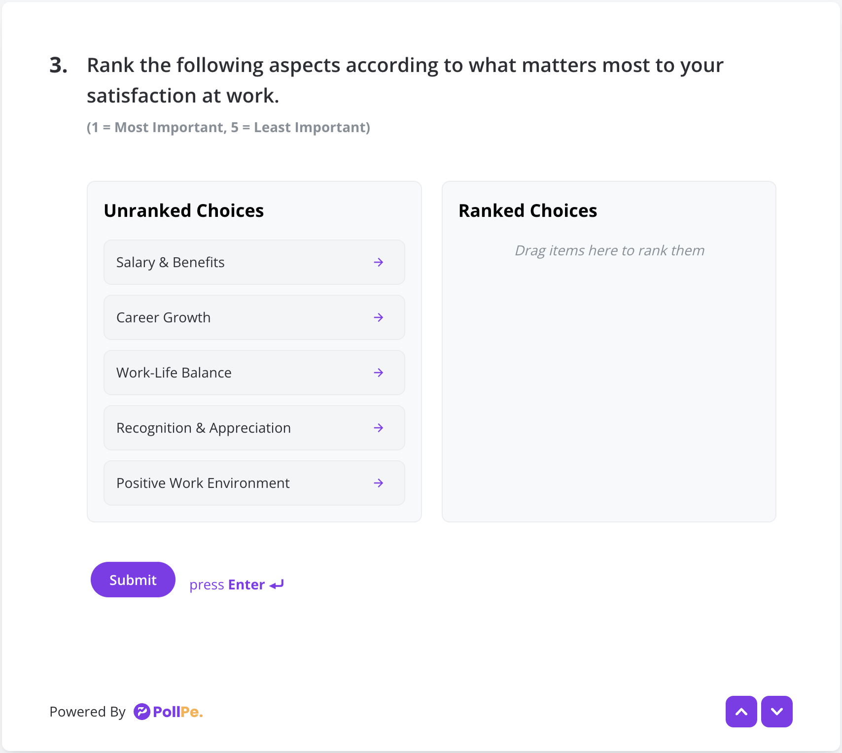 User Preview – Ranking Question Field