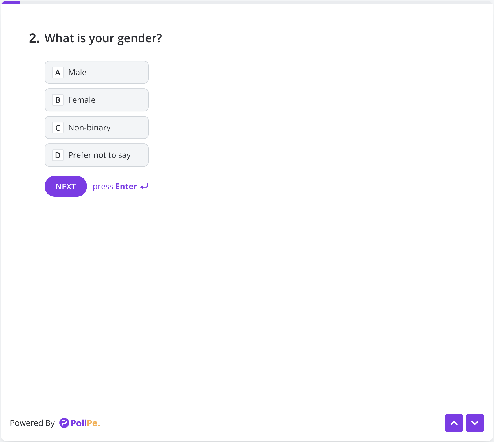 User Preview – Single Choice Field